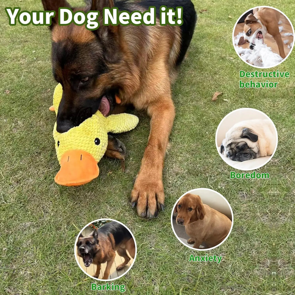 Juguete divertido para tu mascota