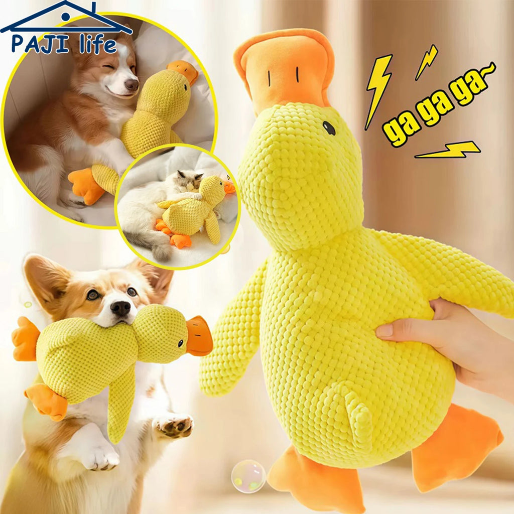 Juguete divertido para tu mascota