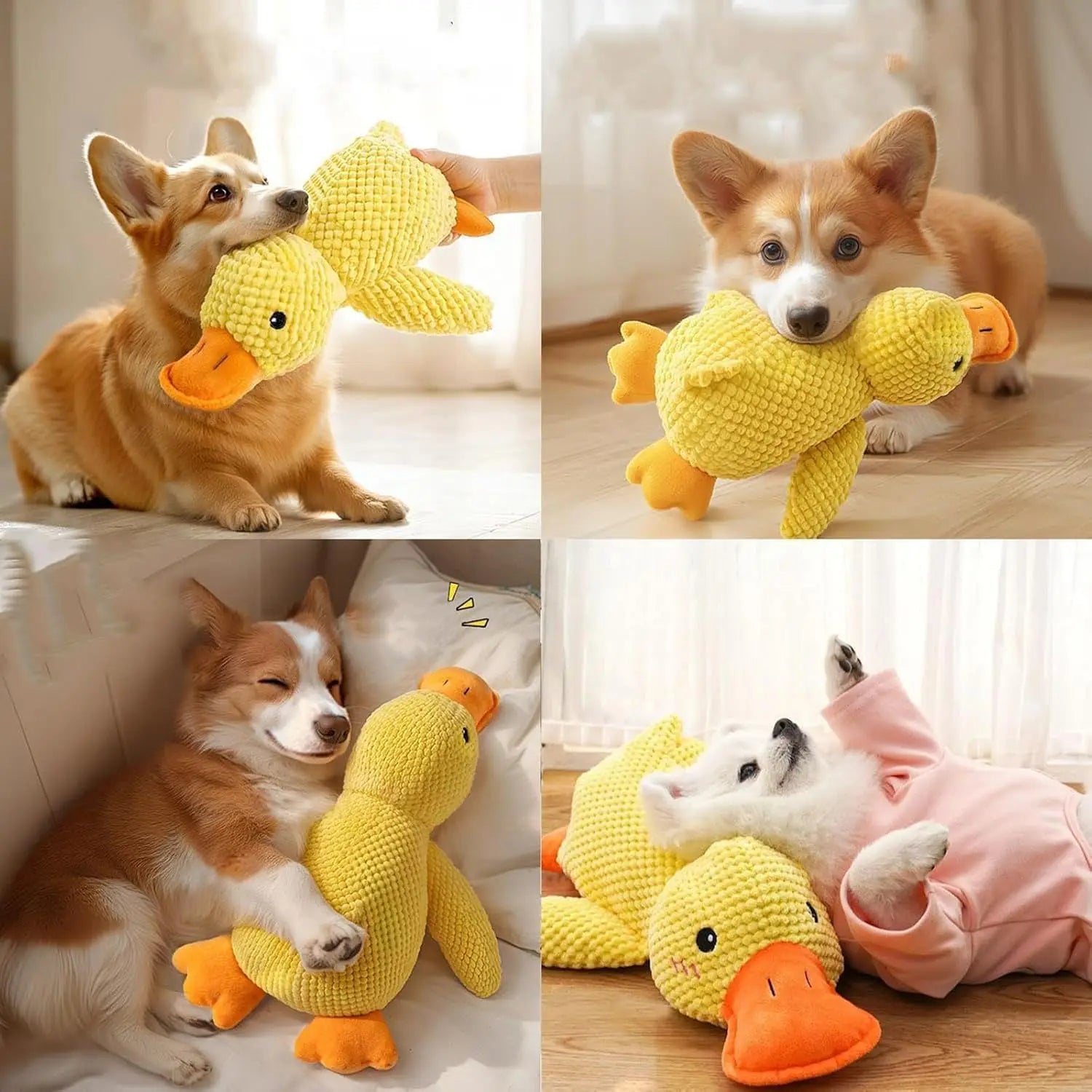 Juguete divertido para tu mascota