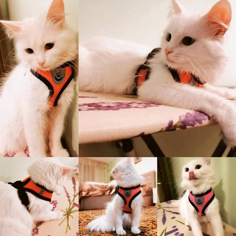 Arnés transpirable para perro, chaleco ajustable, malla de poliéster.