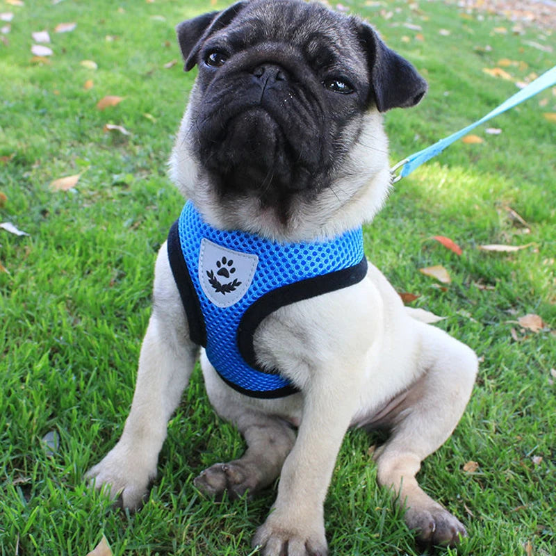 Arnés transpirable para perro, chaleco ajustable, malla de poliéster.