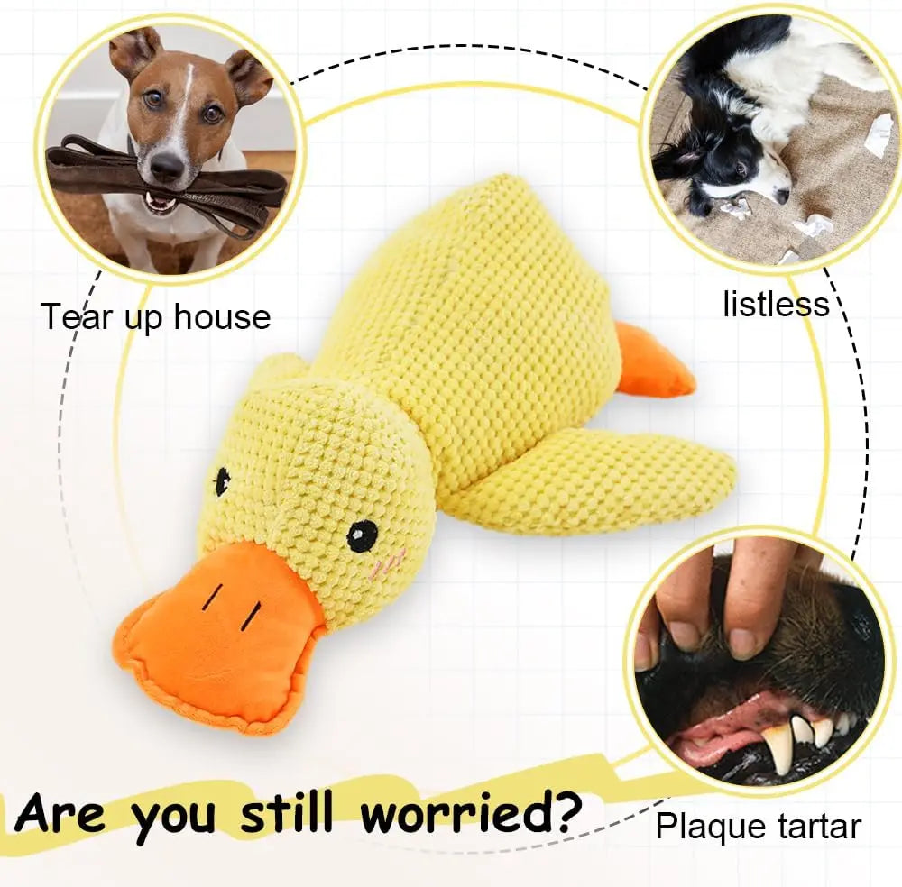 Juguete divertido para tu mascota