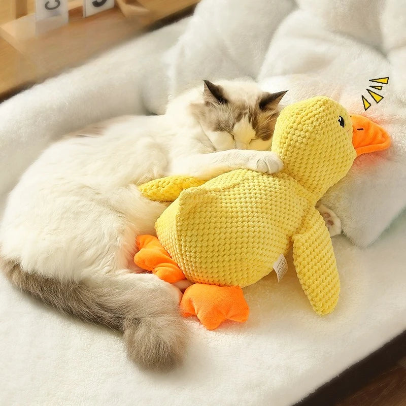 Juguete divertido para tu mascota