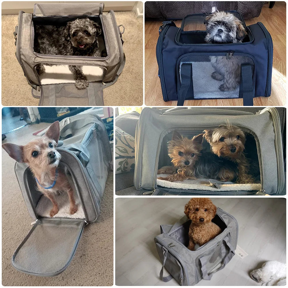 Bolsa Transportadora para Perros y Gatos - Aprobado para Aerolíneas, Impermeable